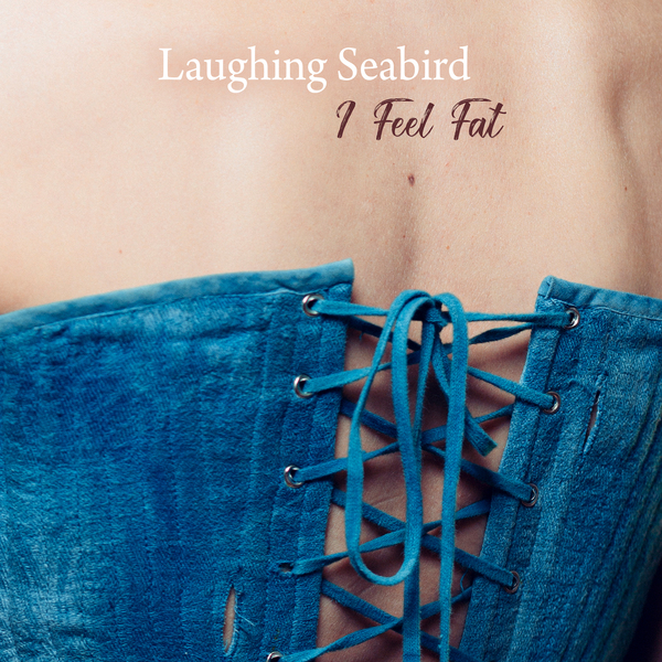 The Transformation Place, nouvel album de Laughing Seabird